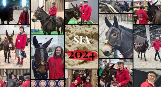 SIA 2024, que faut-il retenir ?
